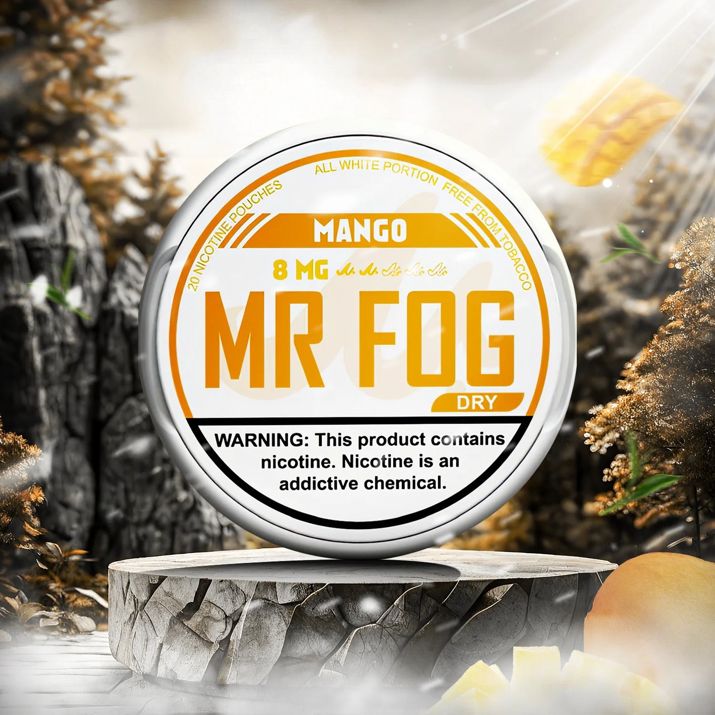 MR FOG NICOTINE POUCHES 8MG - Mango