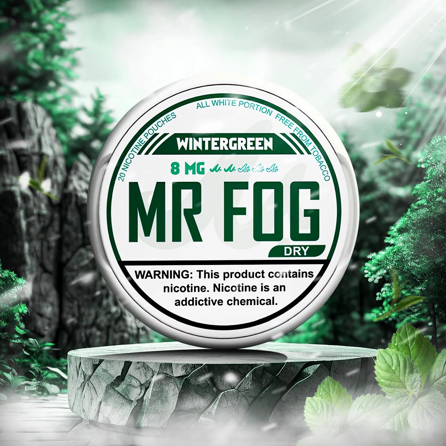 MR FOG NICOTINE POUCHES 8MG - Wintergreen