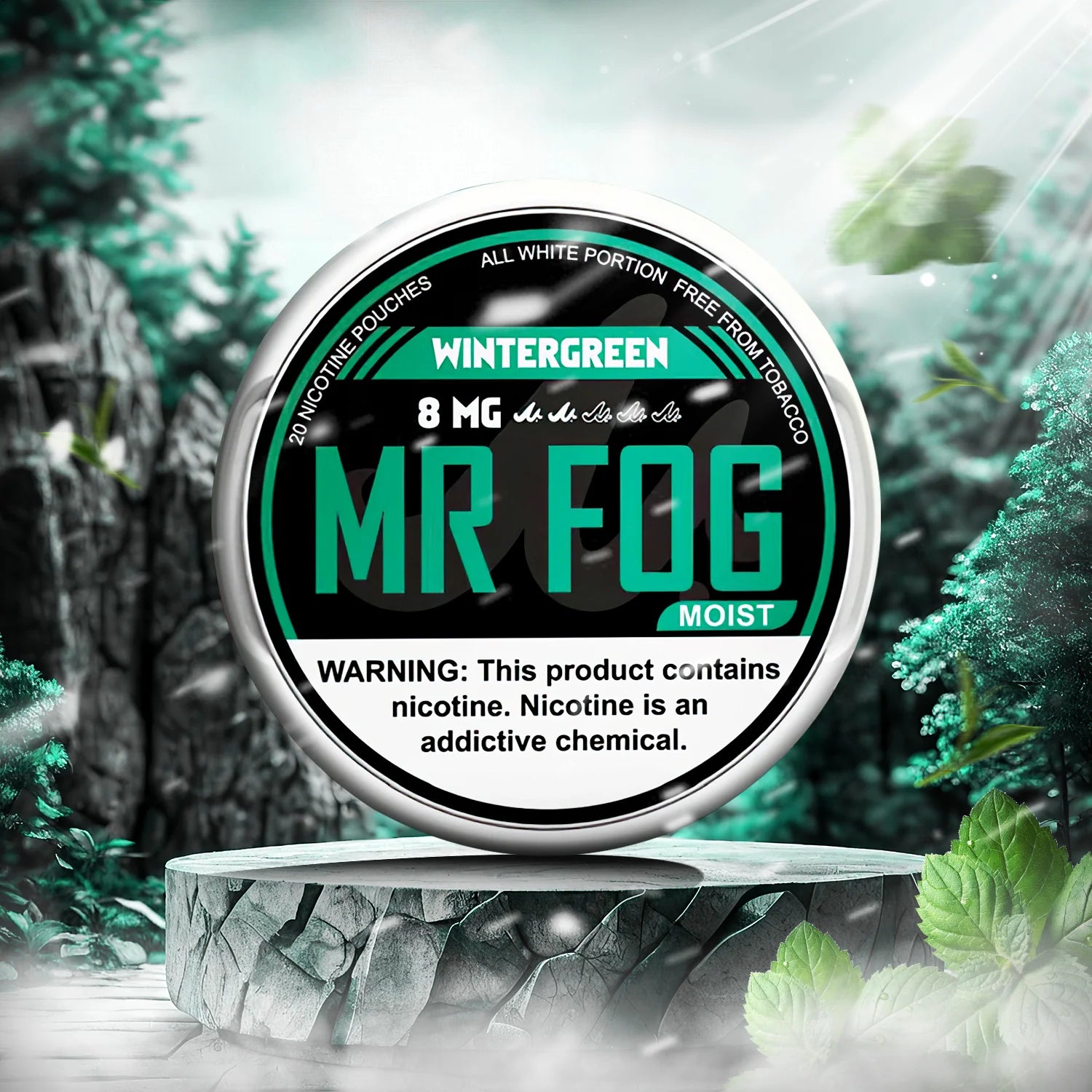 MR FOG NICOTINE POUCHES 8MG - Wintergreen