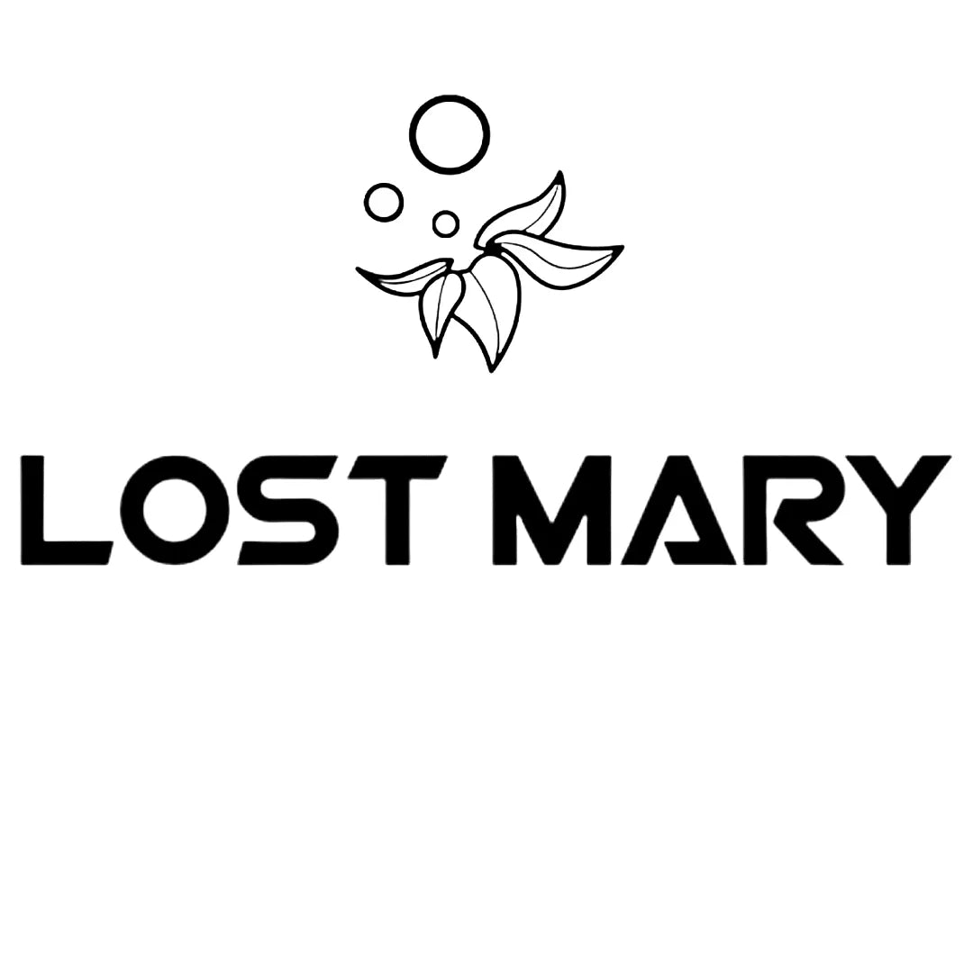 Lost Mary