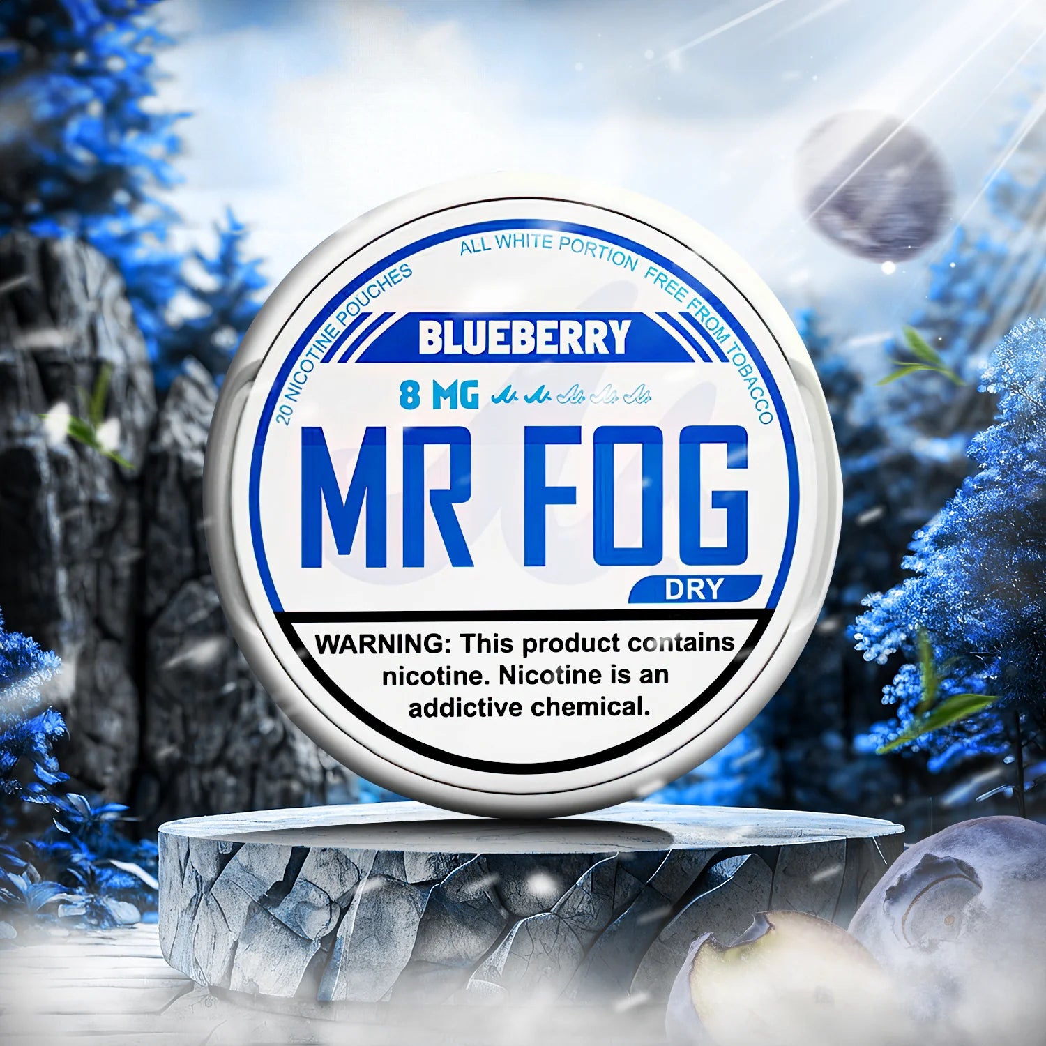 MR FOG NICOTINE POUCHES 8MG - Blueberry 