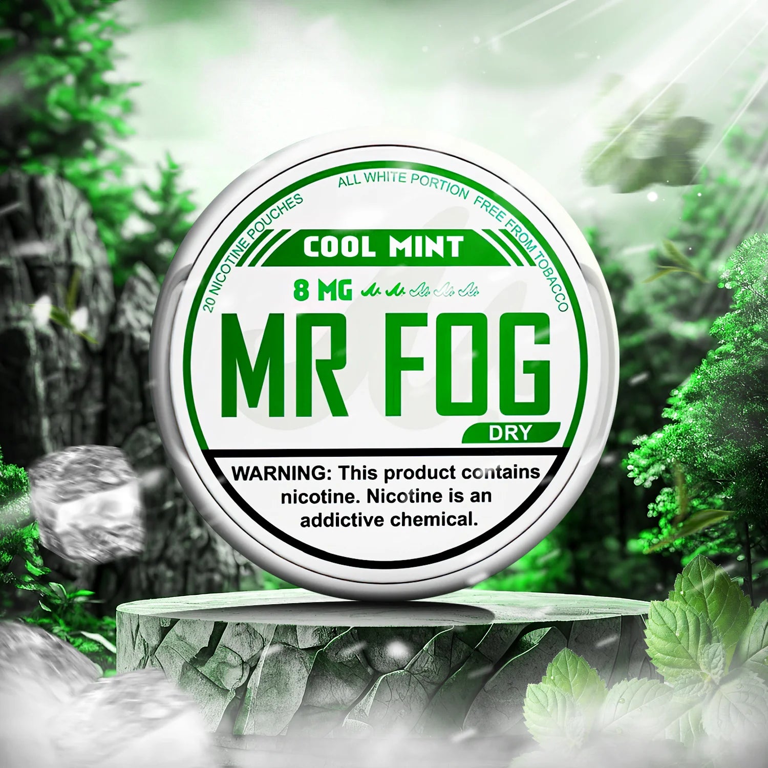 MR FOG NICOTINE POUCHES 8MG - Cool Mint 