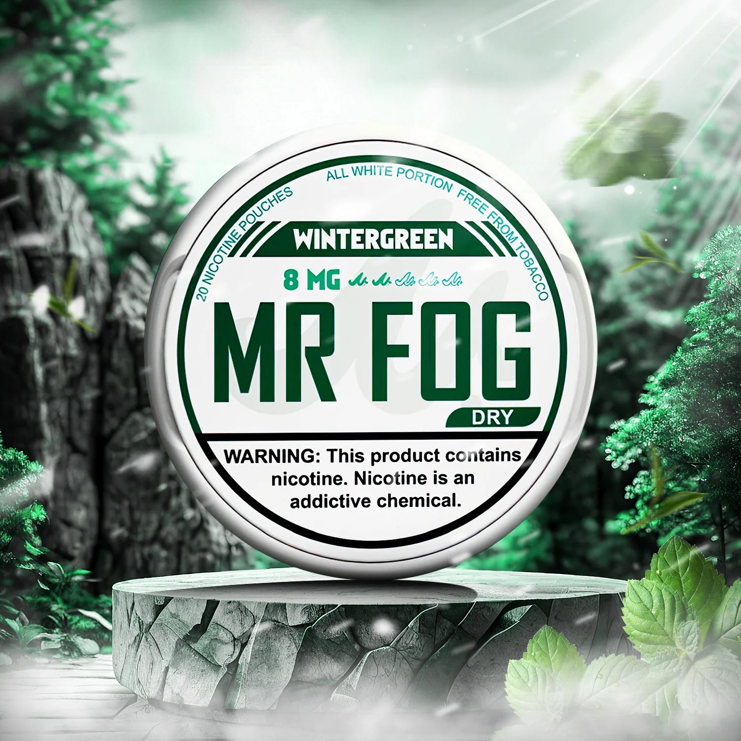 MR FOG NICOTINE POUCHES 8MG - Wintergreen 