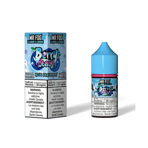 MR FOG E-LIQUID BERRY STEEZY 30ML - Blue Raspberry 