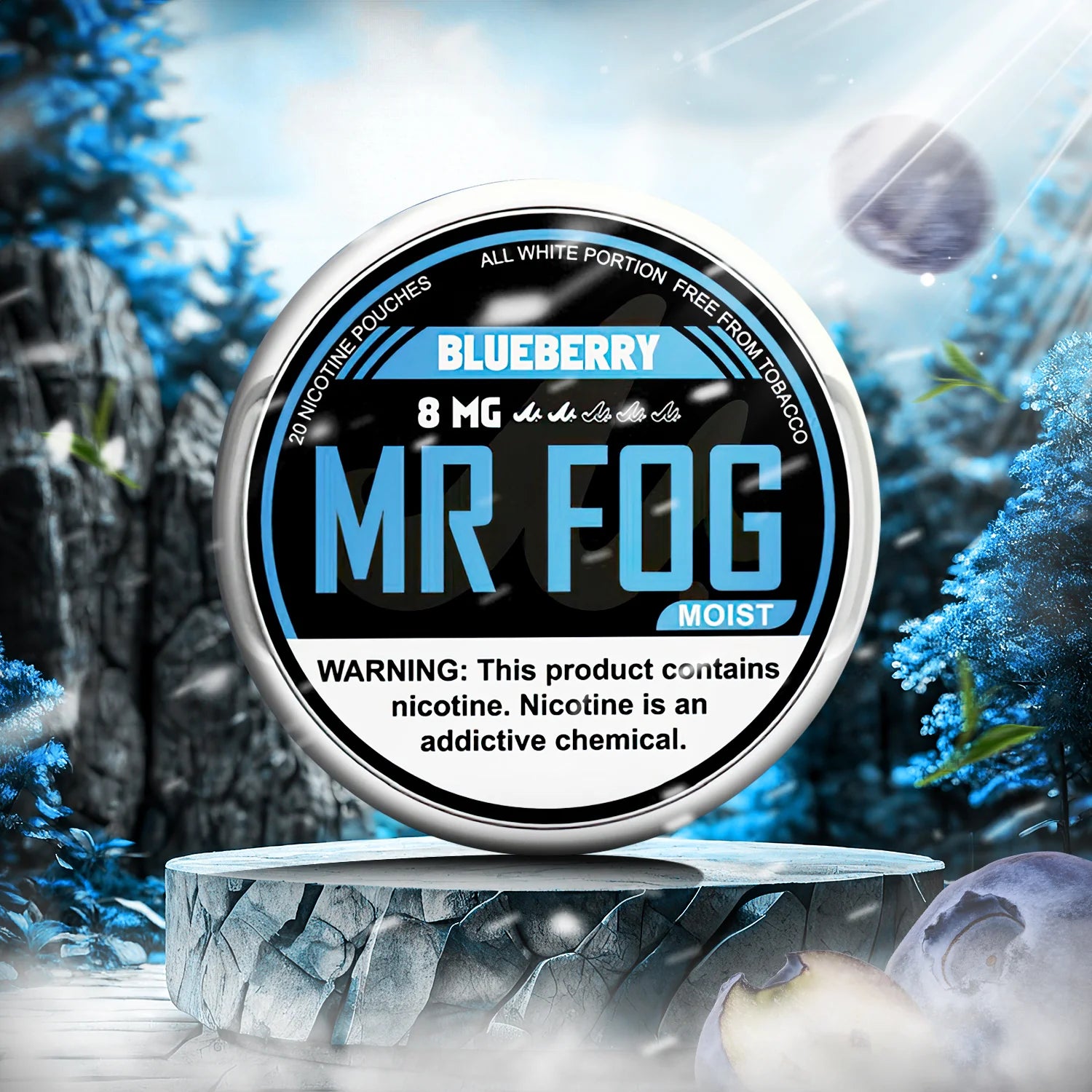 MR FOG NICOTINE POUCHES 8MG - Blueberry 